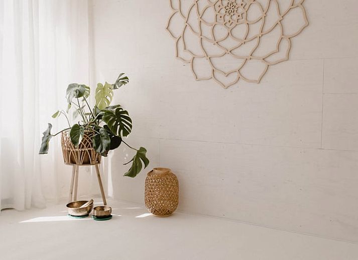 Unterkunft 293534 - Ferienhaus Achterhoek - Vakantiehuisje in Vorden