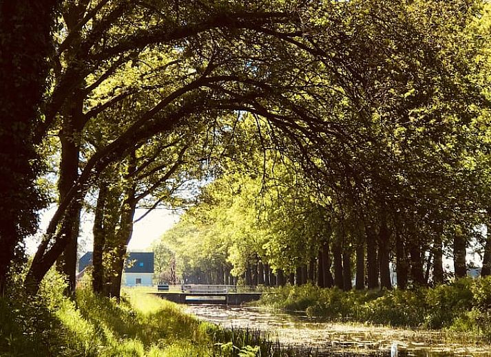 Unterkunft 293534 - Ferienhaus Achterhoek - Vakantiehuisje in Vorden