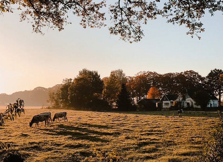 Unterkunft 293534 - Ferienhaus Achterhoek - Vakantiehuisje in Vorden