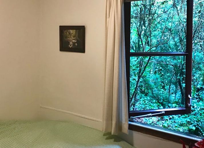 Unterkunft 293541 - Ferienhaus Achterhoek - Vakantiehuisje in Vorden