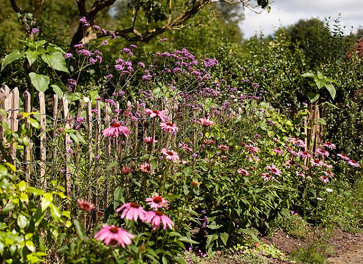 Gemuetlicher Innenbereich des Ferienhauses in Vorden, Achterhoek, Gelderland, mit viel Licht und einem rustikalen Essbereich.