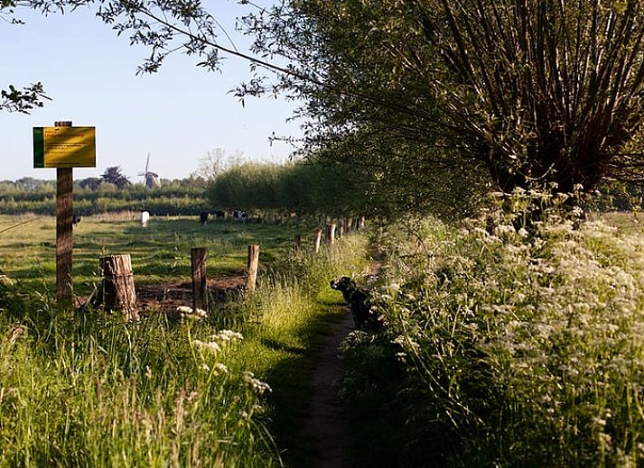 Stilvoll eingerichtetes Ferienhaus in Vorden mit moderner Ausstattung, gelegen im gruenen Achterhoek, Gelderland.