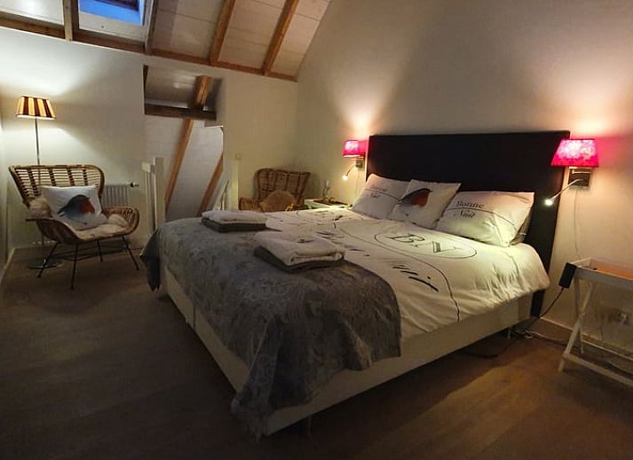 Vakantiehuis in Vorden Achterhoek te midden van groene velden en grazende schapen, biedt rust en natuur in Gelderland.