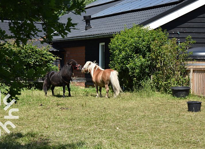 Cozy indoor area of vacation home DG127C in Vorden, Achterhoek.