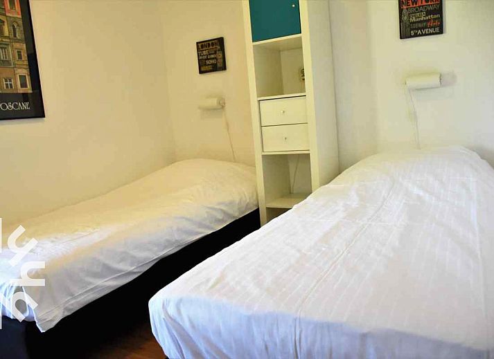 Horse pasture next to vacation home DG127C in Vorden, Achterhoek.