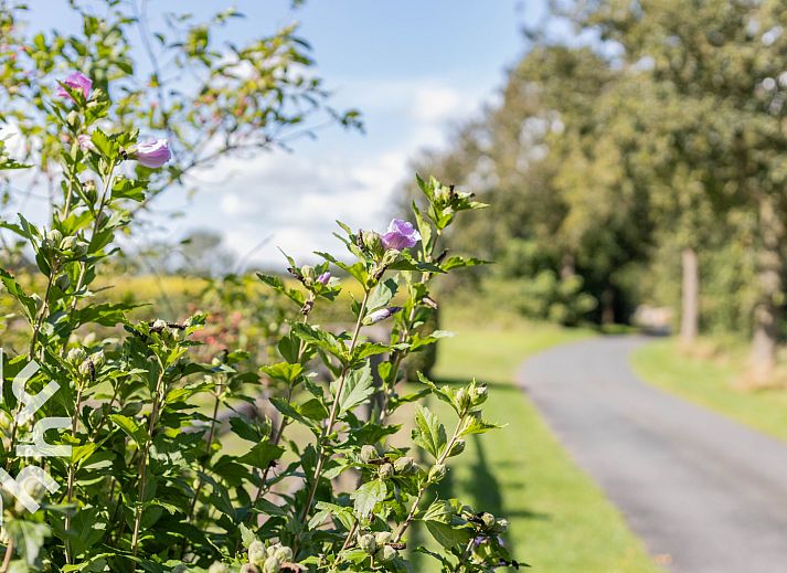 Modern bathroom in vacation home DG496 in Vorden, Achterhoek, with white tiles.
