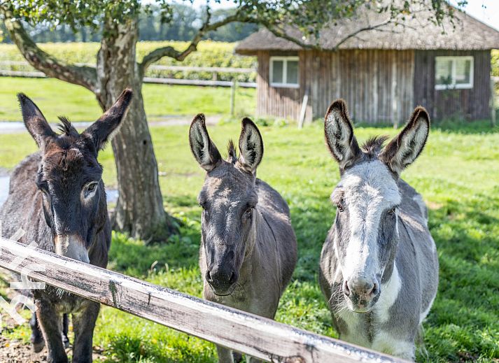 Stylish sink in vacation home DG496 in Vorden, Achterhoek, with marble top.