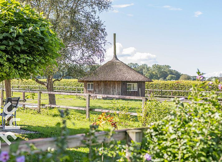 Terrace at vacation home DG496 in Vorden, Achterhoek, overlooking green fields.
