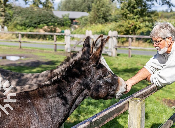 Terrace at vacation home DG496 in Vorden, Achterhoek, overlooking green fields.