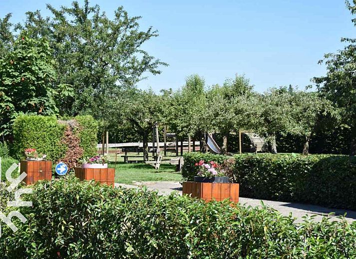 Unterkunft 293568 - Ferienhaus Achterhoek - DG127-10