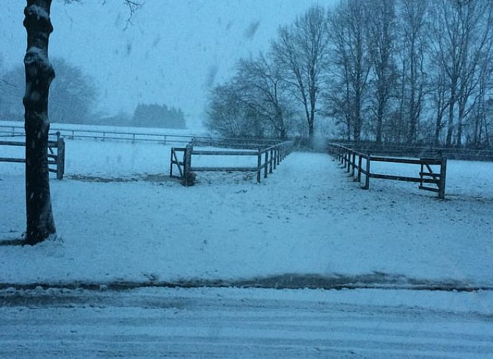 Guest house 293609 - Holiday property Achterhoek - Vakantiehuisje in Doetinchem