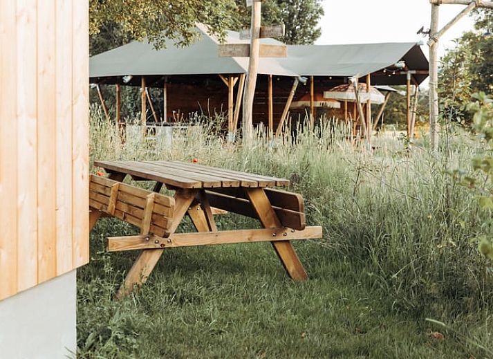 Huisje in Doetinchem, een vakantiehuis in de Achterhoek, Gelderland, omgeven door groene natuur en rustgevende omgeving.