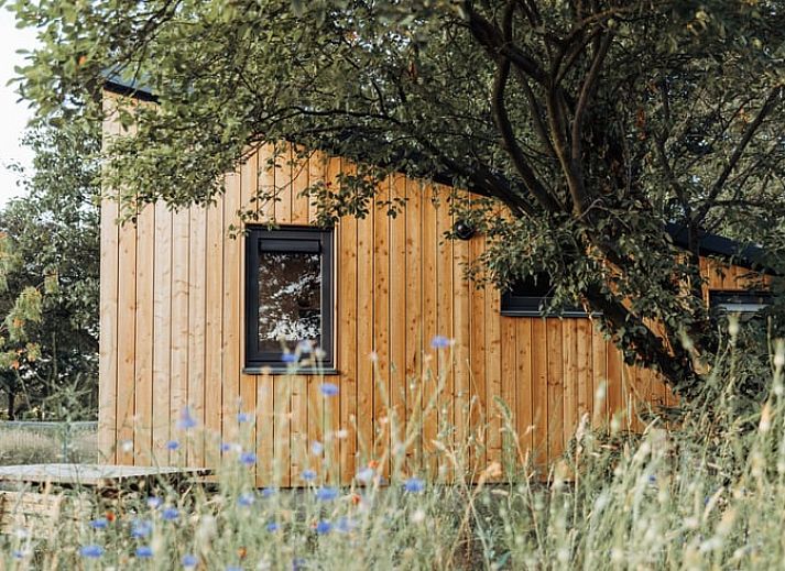 Gezellige woonkamer van Huisje in Doetinchem, vakantiehuis in Achterhoek, Gelderland, met moderne inrichting en uitzicht op de natuur.