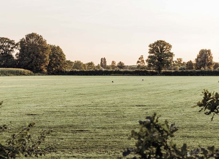 Gezellige woonkamer van Huisje in Doetinchem, vakantiehuis in Achterhoek, Gelderland, met moderne inrichting en uitzicht op de natuur.