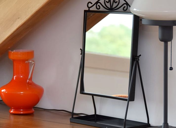 Guest house 293824 - Holiday property Achterhoek - Vakantiehuis in Gorssel