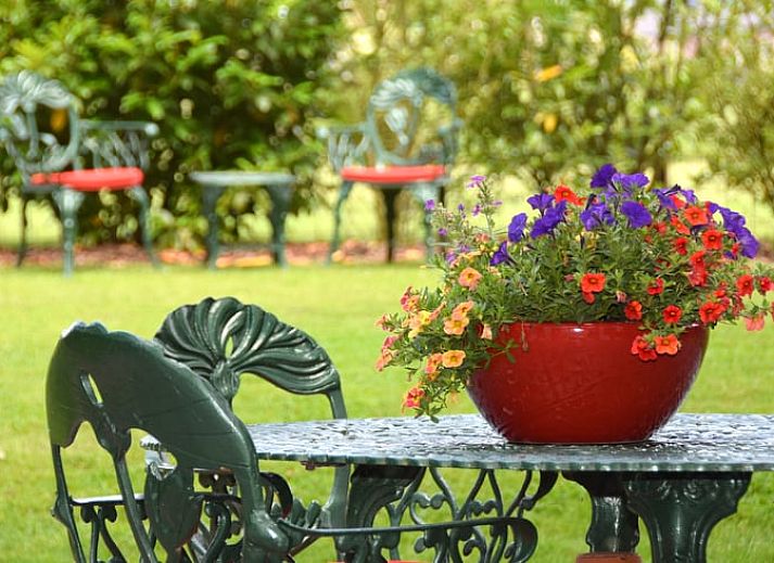 Guest house 293824 - Holiday property Achterhoek - Vakantiehuis in Gorssel