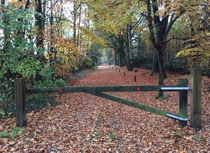 Guest house 293824 - Holiday property Achterhoek - Vakantiehuis in Gorssel