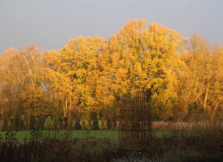 Guest house 293824 - Holiday property Achterhoek - Vakantiehuis in Gorssel