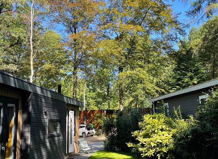 Unterkunft 293825 - Ferienhaus Achterhoek - Huisje in Gorssel