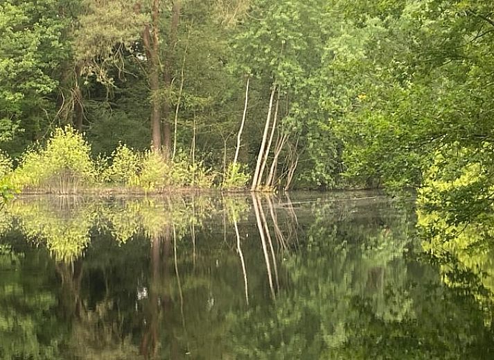 Unterkunft 293825 - Ferienhaus Achterhoek - Huisje in Gorssel