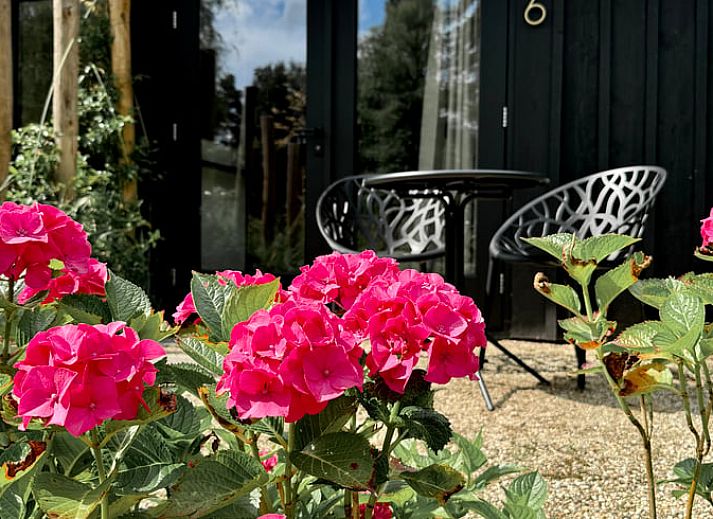 Guest house 293906 - Holiday property Achterhoek - Huisje in Twello