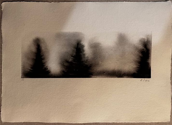 Verblijf 293911 - Vakantiewoning Achterhoek - Vakantiehuis in Twello