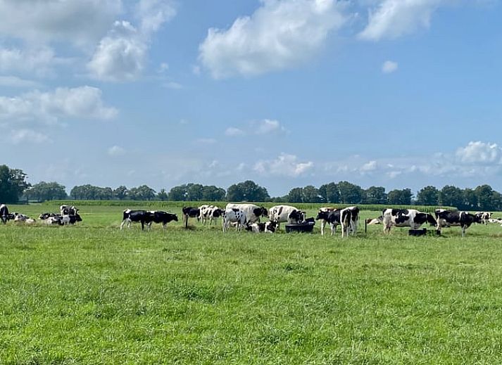 Sonnenuntergang im Cottage in Beltrum Ferienunterkunft in Achterhoek, Gelderland.