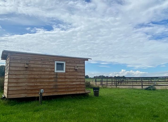 Teich am Ferienhaus in Beltrum mit Blick auf gruene Felder in der Achterhoek.