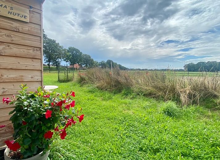 Teich am Ferienhaus in Beltrum mit Blick auf gruene Felder in der Achterhoek.