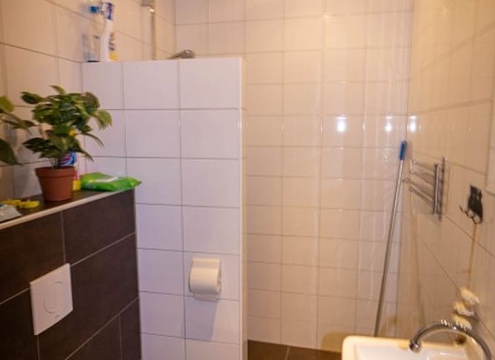 Kunstwerk met koeien in Vakantiehuis in Beltrum, sfeervol detail in de Achterhoek, Gelderland.