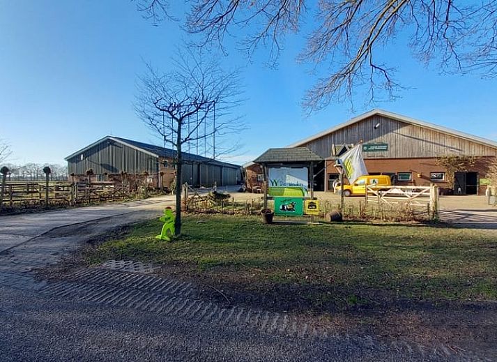 Kunstwerk met koeien in Vakantiehuis in Beltrum, sfeervol detail in de Achterhoek, Gelderland.