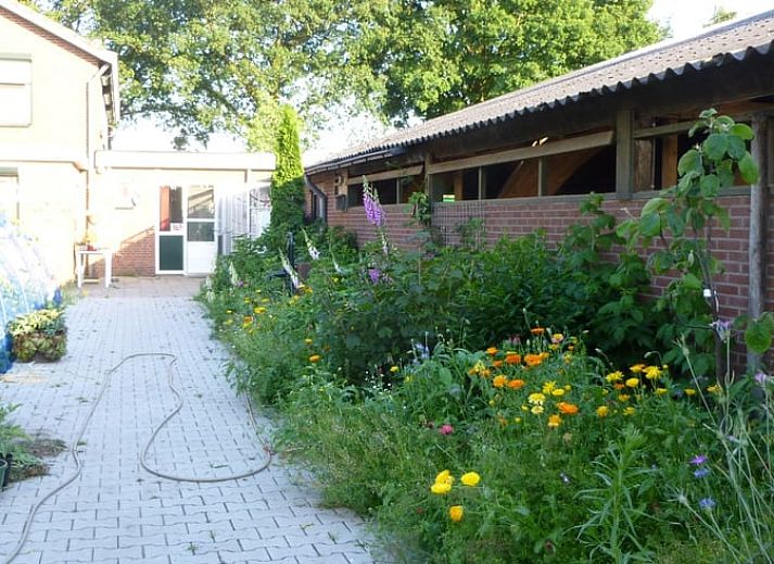 Bord bij Vakantiehuis in Beltrum, omgeven door landelijke charme in de Achterhoek, Gelderland.