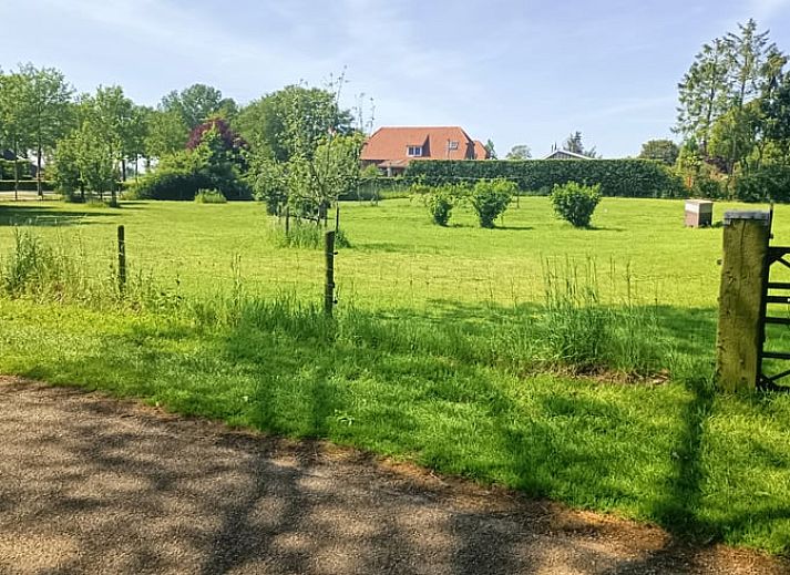Seitenansicht des Ferienhauses in Beltrum, Achterhoek, Gelderland mit schoen angelegtem Garten und Steinterrasse.