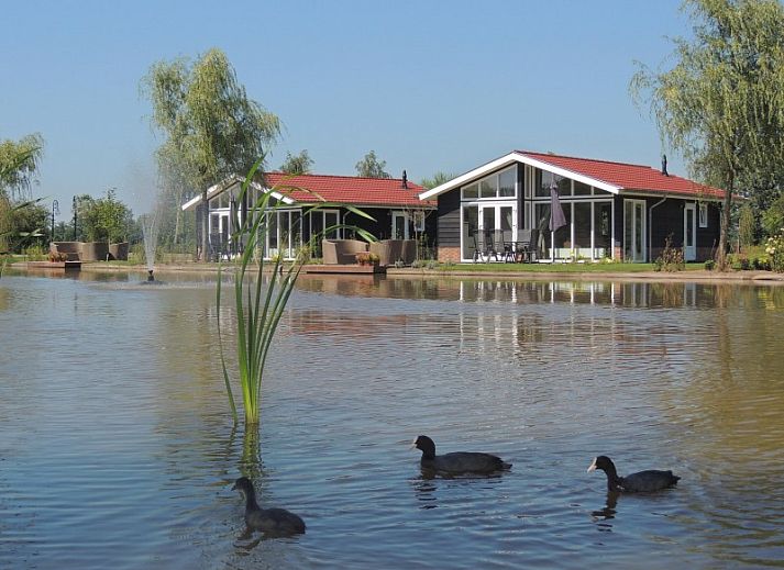 Verblijf 294701 • Vakantiewoning Achterhoek • Vakantiewoning 5***** 5 personen