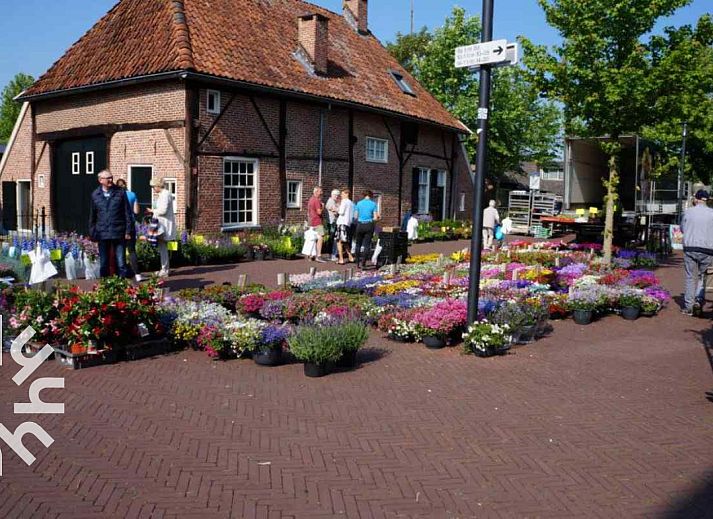 Parkeerplaats bij vakantiehuis DG358 in Lichtenvoorde, omgeven door groene natuur.