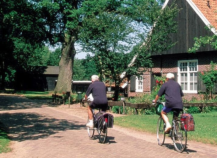 Unterkunft 294714 - Ferienhaus Achterhoek - Vakantiehuisje in Lichtenvoorde