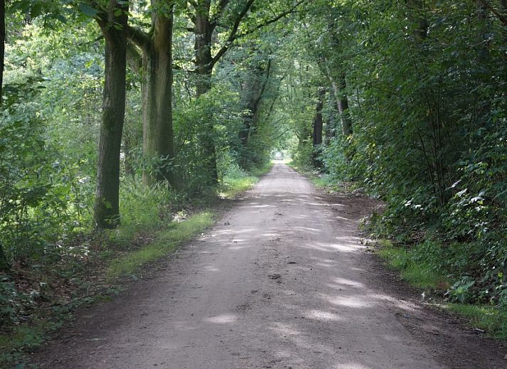 Moderne keuken in Vakantiehuis Het Hof, Lichtenvoorde, met houten balken en strakke afwerking.