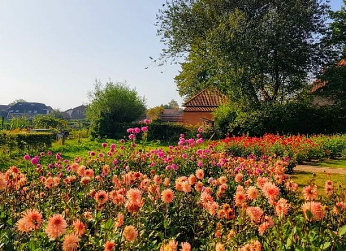 Gezellige slaapkamer met dakraam in Vakantiehuis Het Hof, Lichtenvoorde, Achterhoek.