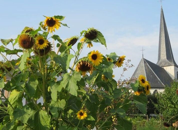 Gezellige slaapkamer met dakraam in Vakantiehuis Het Hof, Lichtenvoorde, Achterhoek.