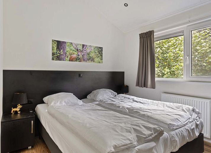 Unterkunft 294746 - Ferienhaus Achterhoek - Berkenhoeve 6 personen Wellness (Hottub)