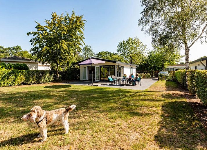 Unterkunft 294751 - Ferienhaus Achterhoek - Landhuis 5 personen MIVA