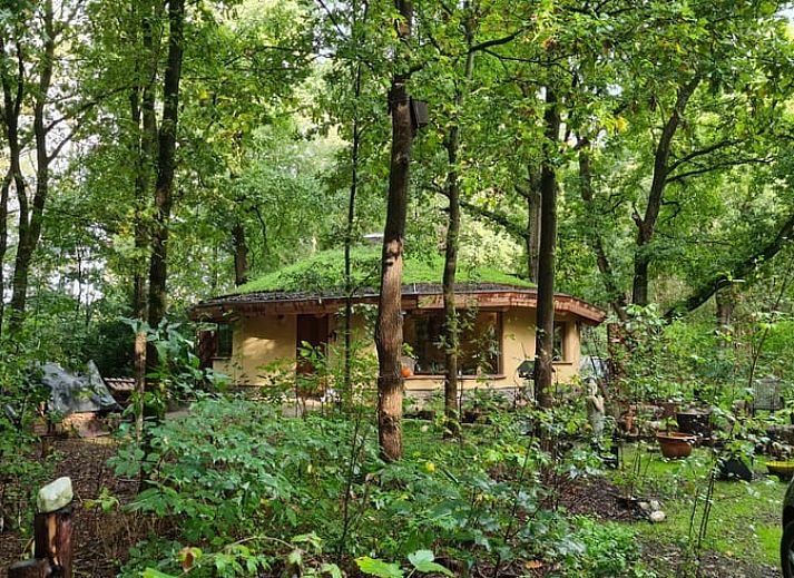 Vakantiehuis in Neede, gelegen in de groene bossen van Achterhoek, Gelderland. Perfect voor natuurliefhebbers.