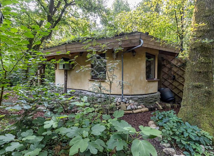 Vakantiehuis in Neede, gelegen in de groene bossen van Achterhoek, Gelderland. Perfect voor natuurliefhebbers.