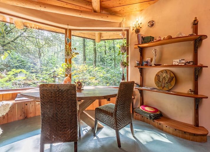Rustieke vakantiewoning in Neede, Achterhoek, omgeven door dichte bossen in Gelderland.