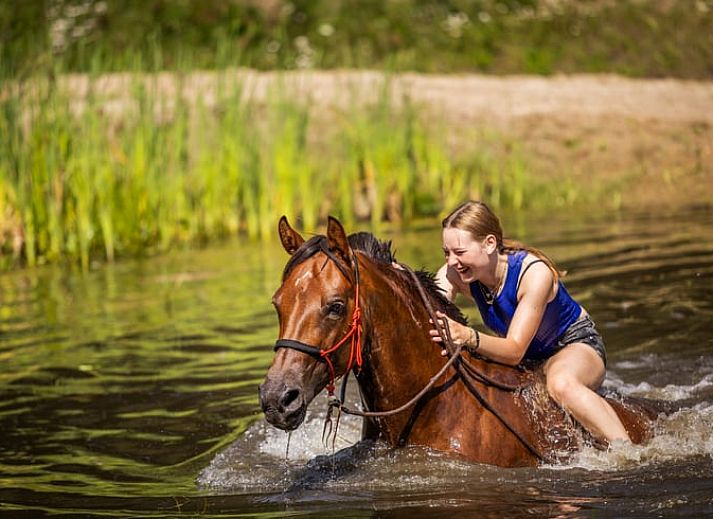 Gezellige binnenruimte van Vakantiehuisje in Neede, Achterhoek, met houten interieur en comfortabele zithoek.