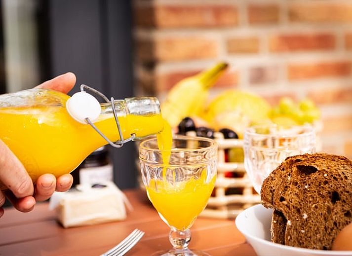 Fietsen in de omgeving van Vakantiehuisje in Neede, Achterhoek, langs groene paden en rustgevende natuur.
