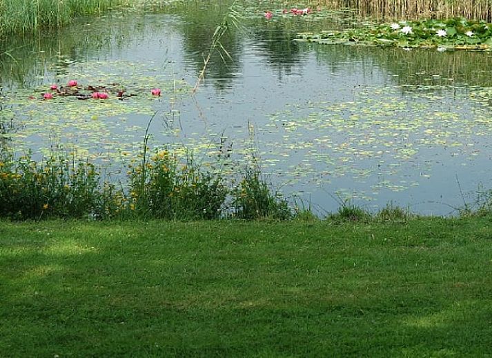 Traditionele houten elementen in Vakantiehuisje in Neede, Achterhoek, Gelderland.