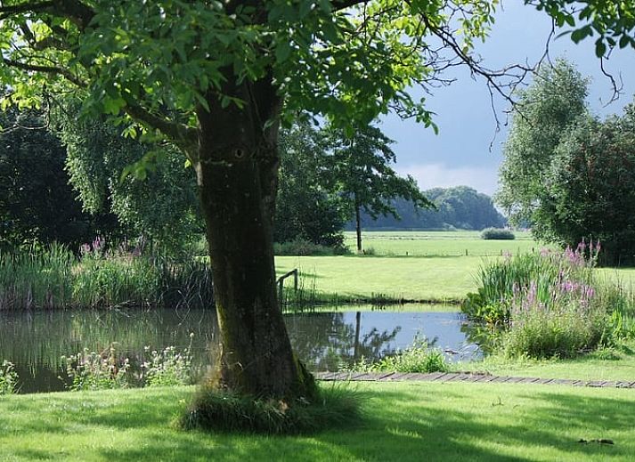 Verblijf 294809 - Vakantiewoning Achterhoek - Vakantiehuisje in Neede