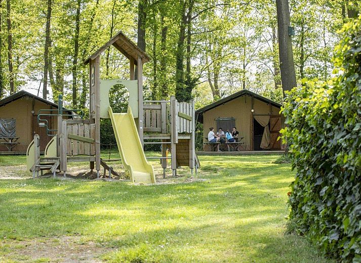 Unterkunft 294817 - Zelthaus Achterhoek - Safaritent