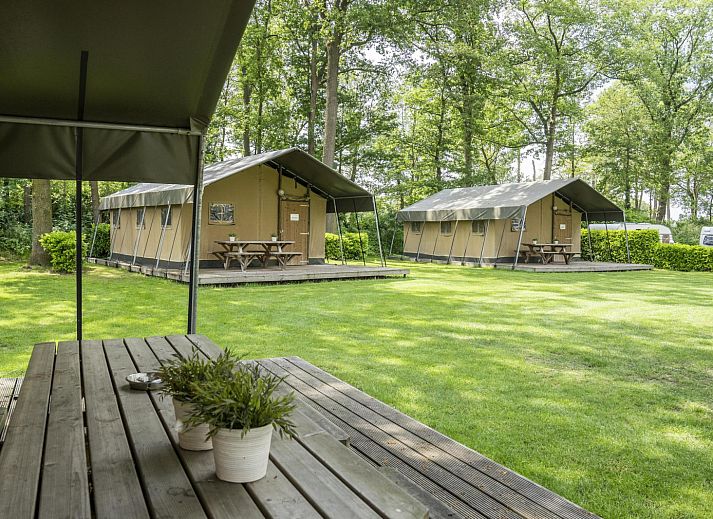 Unterkunft 294817 - Zelthaus Achterhoek - Safaritent